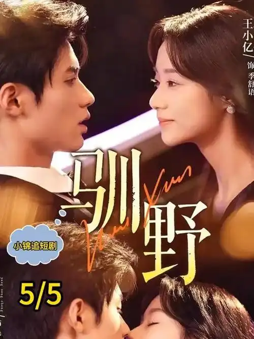 山河故人录热播电视剧全集免费在线观看